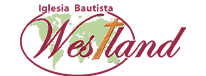 cropped-dsgfs.png